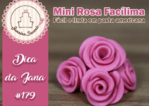 Mini Rosa Facílima