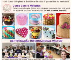 Curso Completo Wilton com Janaina Suconic